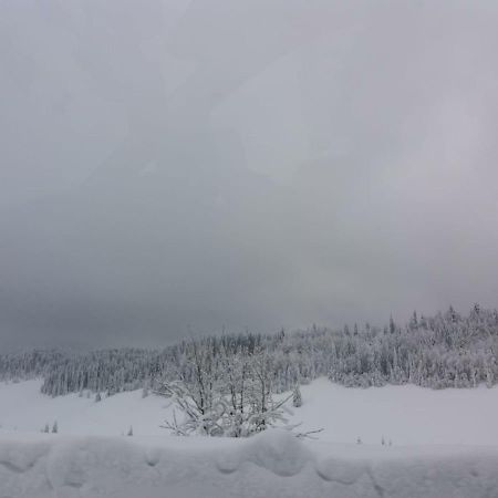 Pensiunea Simiriam Apuseni, Padis Buitenkant foto